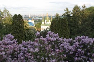 Kiev Botanical Garden, lilac